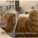 Autocollant