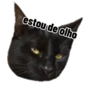 Figurinha
