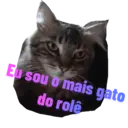 Çıkartma
