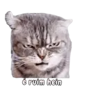 สติกเกอร์