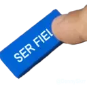 ස්ටිකර්