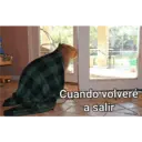 Çıkartma