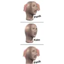 Çıkartma