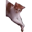 Naklejka