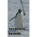스티커