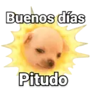 Adhesiu