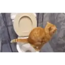 贴纸