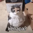 Çıkartma