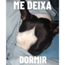 Nhãn dán