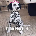 贴纸