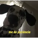 贴纸