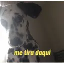 贴纸