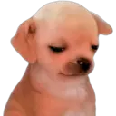 Samolepka