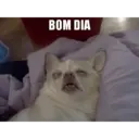 ملصق