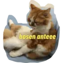 Stiker
