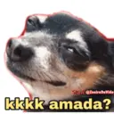 ਸਟਿਕਰ