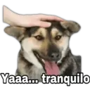 Figurinha