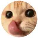 Adhesiu