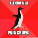 Stika