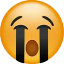 מדבקה