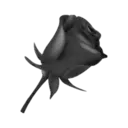 Adhesiu