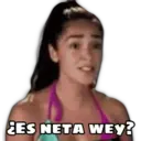 Çıkartma