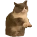 Naklejka