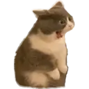 Naklejka