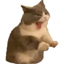 Naklejka