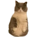 Naklejka