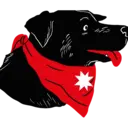 Ngjitës