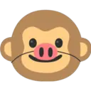 ස්ටිකර්