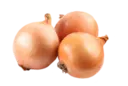 স্টিকার