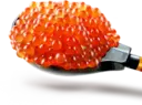 স্টিকার