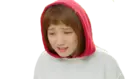 스티커