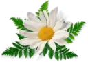 Կպչուն պիտակ