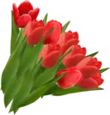 Կպչուն պիտակ