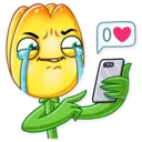 ស្ទីកเกอร์