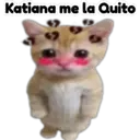 Çıkartma