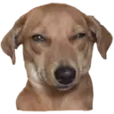 Стикер