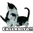 Naljepnica