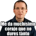 Samolepka