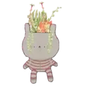 Figurinha