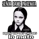 Samolepka