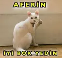 Çıkartma