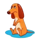 স্টিকার