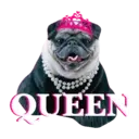 ஸ்டிக்கர்