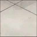 ස්ටිකර්