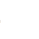 Adhesiu
