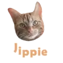 ស្ទីកเกอร์